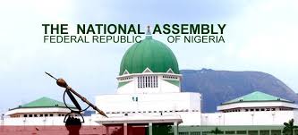 NATIONAL ASSEMBLY CRISIS: Tension In NASS Over Plans To Replace The Acting Clerk Of The Senate