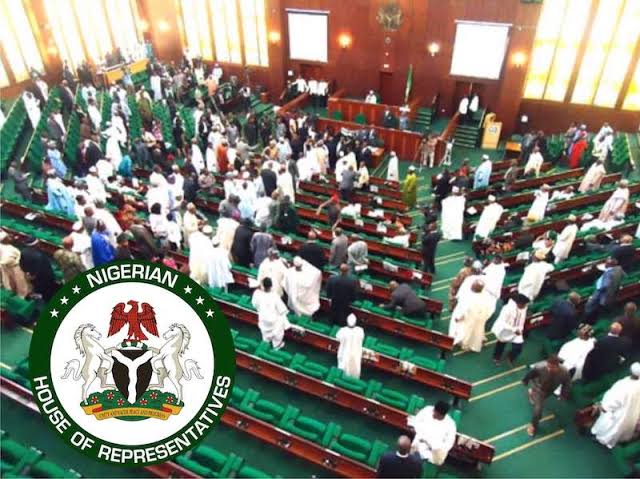 POWER SUPPLY: ‘Nigerians Want Electricity, Not Explanations’ — Reps Tackle Power Minister