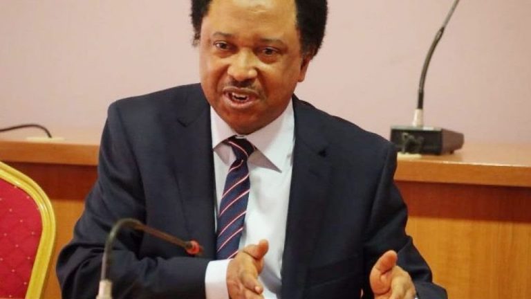 ASUU STRIKE: Shehu Sani Reacts As Female Students Threaten To Protest Nude