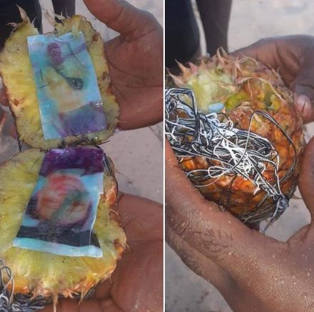 MYSTERY: Photo Of A Man And Woman Found Chained Inside A Pineapple