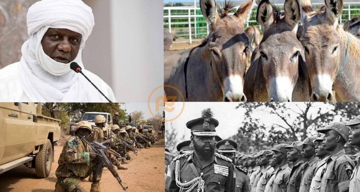 Niger Sent Donkeys, Equipment To Help Nigeria Crush Biafra – Nigerien Minister