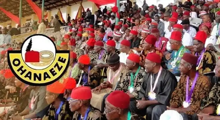 POLITICS: We’ll Announce Preferred Candidate During Igbo Day – Ohanaeze Promises