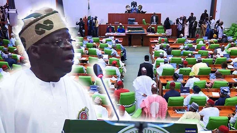 Let My Ministers Breathe! Stop Excessive Summoning, And Let Them Do Their Jobs — Tinubu Tells NASS