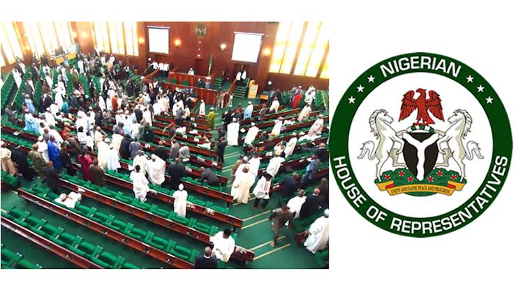 Hardship: Reps To Sacrifice 50% Salaries To FG In Addressing High Cost Of Livings